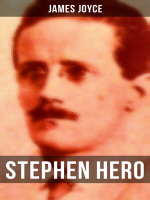 cover image of STEPHEN HERO
